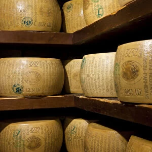 A selection of parmesan cheese in a deli in Parma, Emilia Romagna, Italy