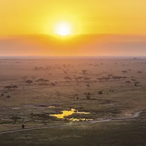 Serengeti landscape at sunrise, Serengeti National Park, Tanzania