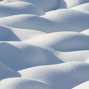 Snow-covered Boulders, Jasper National Park, Alberta, Canada