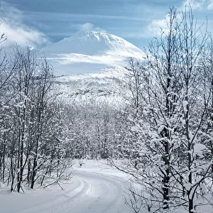 Empty snowy road into a frozen forest, Lyngen Alps, Tromso, Troms og Finnmark, Norway