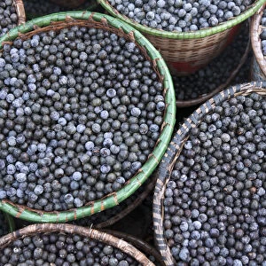 South America, Brazil, Para, Amazon, baskets of acai berry at the morning acai market