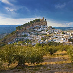 Spain, Andalucia, Granada province, Montefrio, Olive grove in foreground