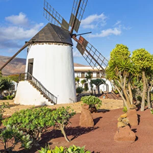 Spain, Canary Islands, Fuerteventura, Antigua, Molino de Antigua, traditional windmill