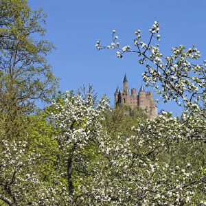 Spring at Hohenzollern Castle, Swabian Jura, Baden-Wurttemberg, Germany