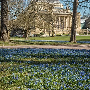 Spring meadow at park with State Theater, Wiesbaden, Hesse, Germany