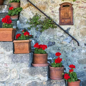 Staircase of Geraniums, Tuscany, Italy