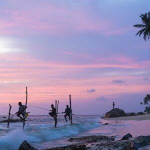 Stilt fishermen, sunset, Weligama, South coast, Sri Lanka