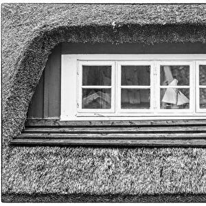 Sweden, Scania, Arild, window and thatched roof