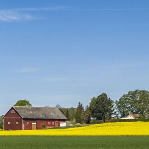 Sweden, Southeast Sweden, Bergs Slussar, springtime landscape