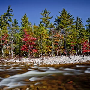 Swift River in Autumn, New Hampshire, USA