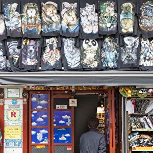 T-shirt shop on Takeshita Street, Harajuku, Tokyo, Japan