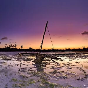 Tanzania. Zanzibar, Jambiani Beach, Dhow (traditional imbarcation) exposed at low tide