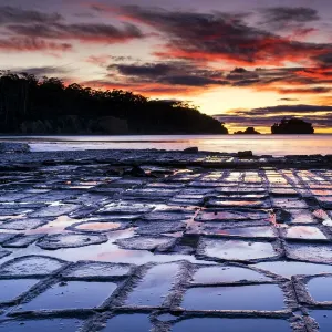 Tessellated Pavement, Eaglehawk Neck, Tasmania