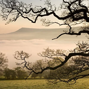 A thick blanket of early morning mist covers the landscape below Mynydd Troed in the