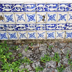 Tiles of an old house near Cinfaes do Douro. Douro region, Portugal