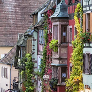 Traditional Ancient Timbered Buildings, Riquewihr, Alsace, France