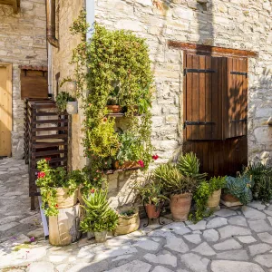 Architecture Collection: Doors