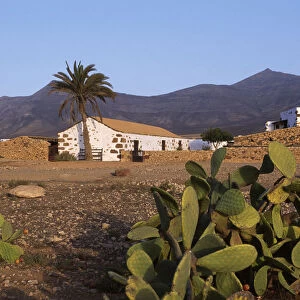 Typical farmhouse, Fuerteventura, Kanarische Inseln, Spanien