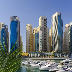 UAE, Dubai, Dubai Marina