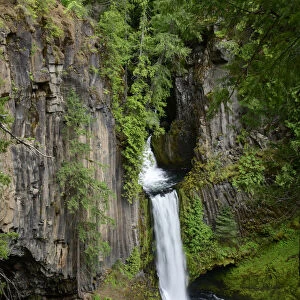 USA, Oregon, Douglas County, North Umpqua River, Toketee Falls