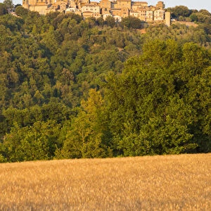 Wheat field and in background the little village of Collazzone, Perugia Province, Umbria