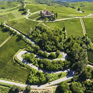 Winding road leading to the Castello di La Volta. Barolo, Barolo wine region, Langhe