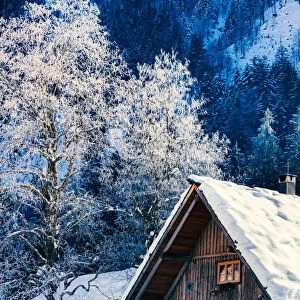 A wooden hut near Gosau covered with snow on a sunny morning