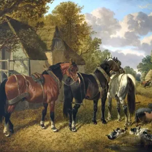 Ready for the Plough Herring Print - Oil on Canvas Animal Scene Ready for the Plough Herring Print - Oil on Canvas Animal Scene