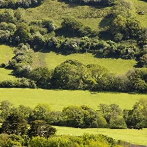 Field boundaries on ancient farmland above Combe Martin in north Devon, UK