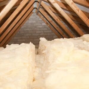 Insulation in a house loft or roof space. Insulating your loft can save a significant amount of household heat loss and therefore help save energy and help combat climate