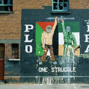 Belfast Mural Print Belfast Mural Print