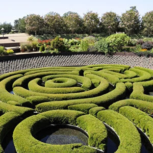 Azalea maze central garden Getty Centre