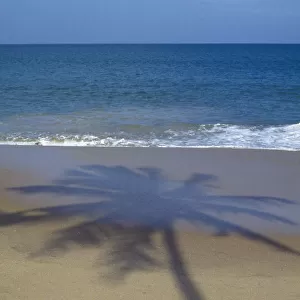 India, Sri Lanka, Shadow of single palm tree cast over sandy beach near Galle