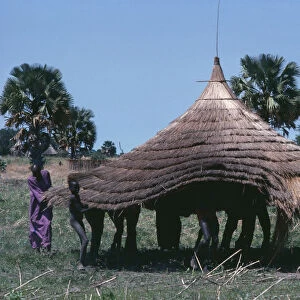 SUDAN Architecture Dinka moving thatched roof of hut