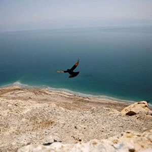 Israel Poster Print Collection: Deadsea
