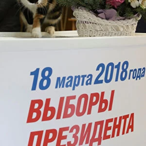 Russia Photo Mug Collection: Election