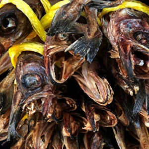 Dried fish are seen at a local market in Gangneung
