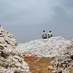 Burkina Photographic Print Collection: Cotton