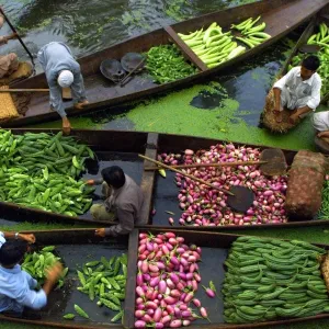 Print of Kashmiri vegetable sellers on Dal Lake Print of Kashmiri vegetable sellers on Dal Lake