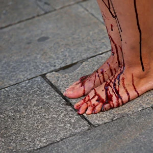 Legs of an Animal rights activist are covered with fake blood during a protest against
