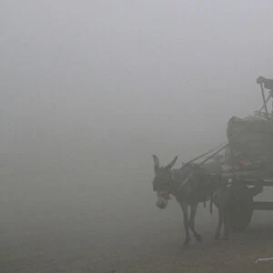 A man guides his donkey and cart in heavy smog in Lahore