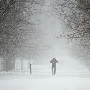A man walks through the snow at the Phoenix Park in Dublin