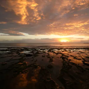 Reuters Collection: Mozambique