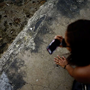 A tourist takes photos of a goat due to be sacrificed by followers of the Afro-Cuban