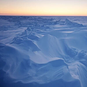 Reuters Photographic Print Collection: Arctic