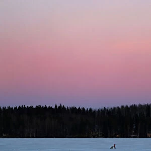 A woman pushes a pram as she walks over a frozen lake during sundown at the Pajulahti