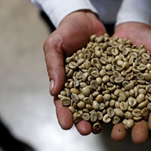 A worker shows coffee beans at coffee company Simexco Dak Lak Limited in the town of Di