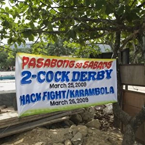 Cock-fight Sabang Palawan Philippines