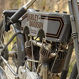 Harley Davidson V-Twin Board Racer riveted