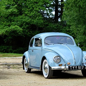Beetles Collection: Related Images